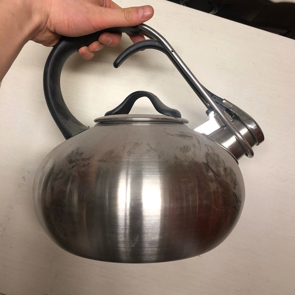 Chantal 1.8-qt. Loop Tea Kettle in Brushed Stainless Steel